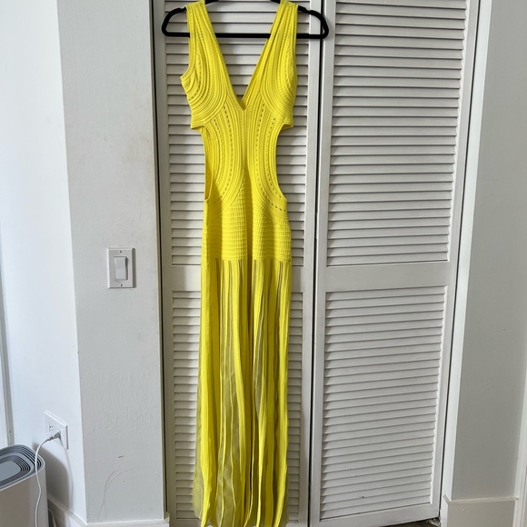 Ronny Kobo Dress - Picture 7 of 8